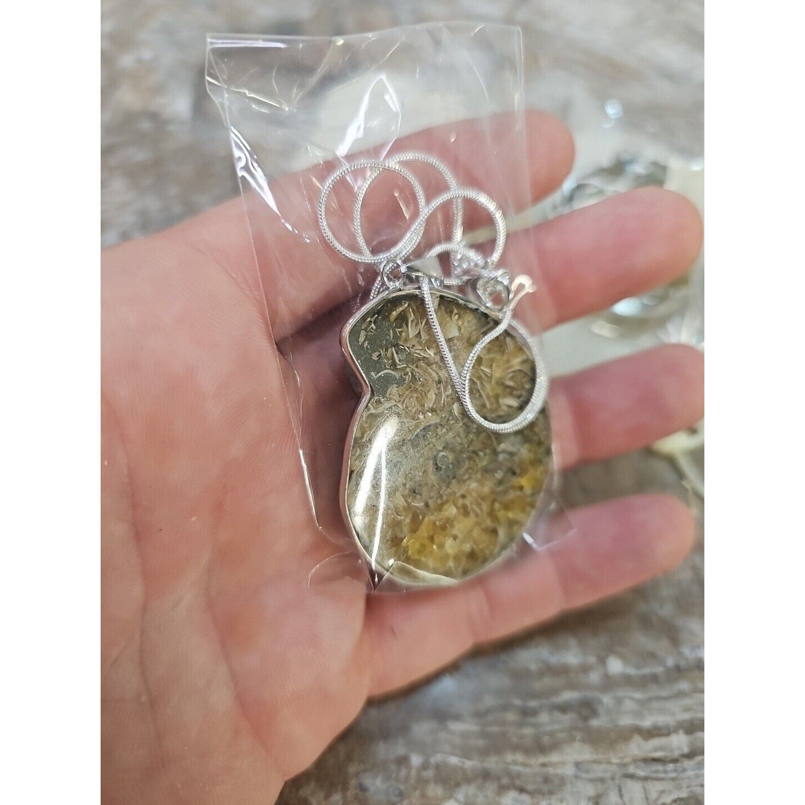 Ammonite Necklace Handmade 1 Pcs With 18in Silver Chain by CrystalCloud Company