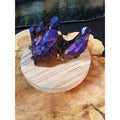 Rainbow Aqua Aura Quartz Crystal Cluster — 1.2 lbs, Titanium Coated | CrystalCloud Company by CrystalCloud Company