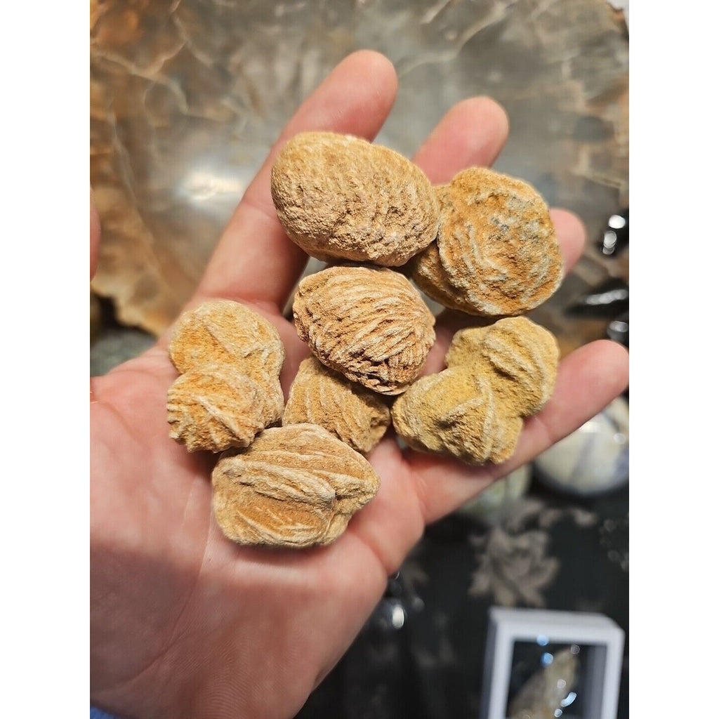Desert Rose Stones by CrystalCloud Company