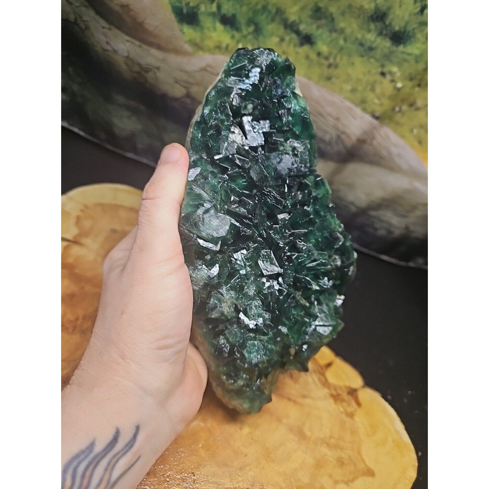 3.2lb NATURAL Green FLUORITE Quartz Crystal Cluster Mineral Specimen by CrystalCloud Company