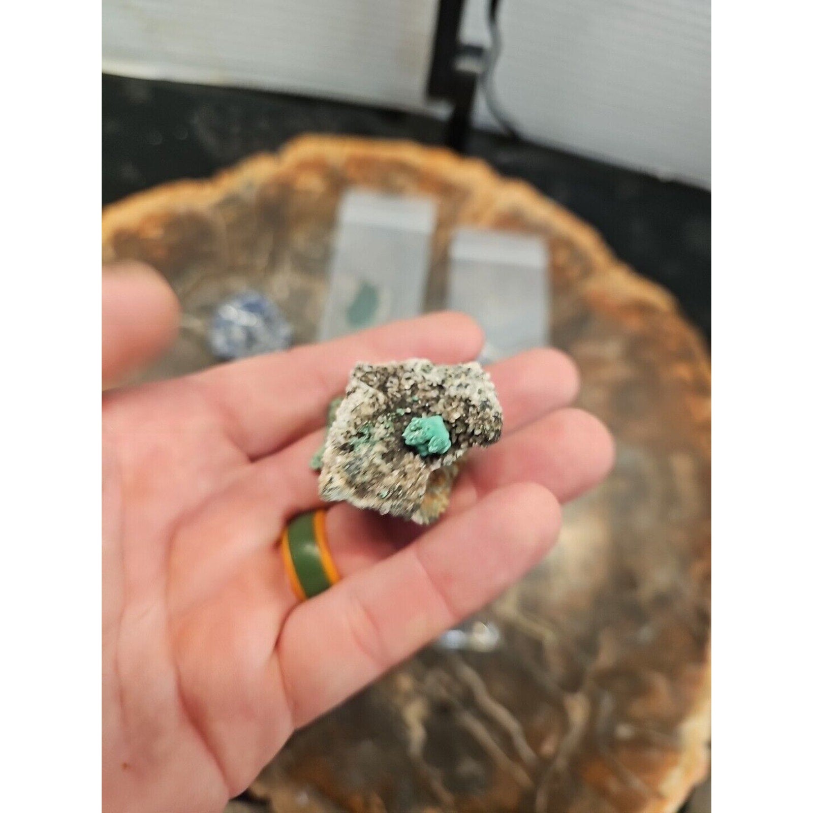 Mixed Crystal Specimen Lot — 8 Natural Pieces, Curated Collection | CrystalCloud Company by CrystalCloud Company
