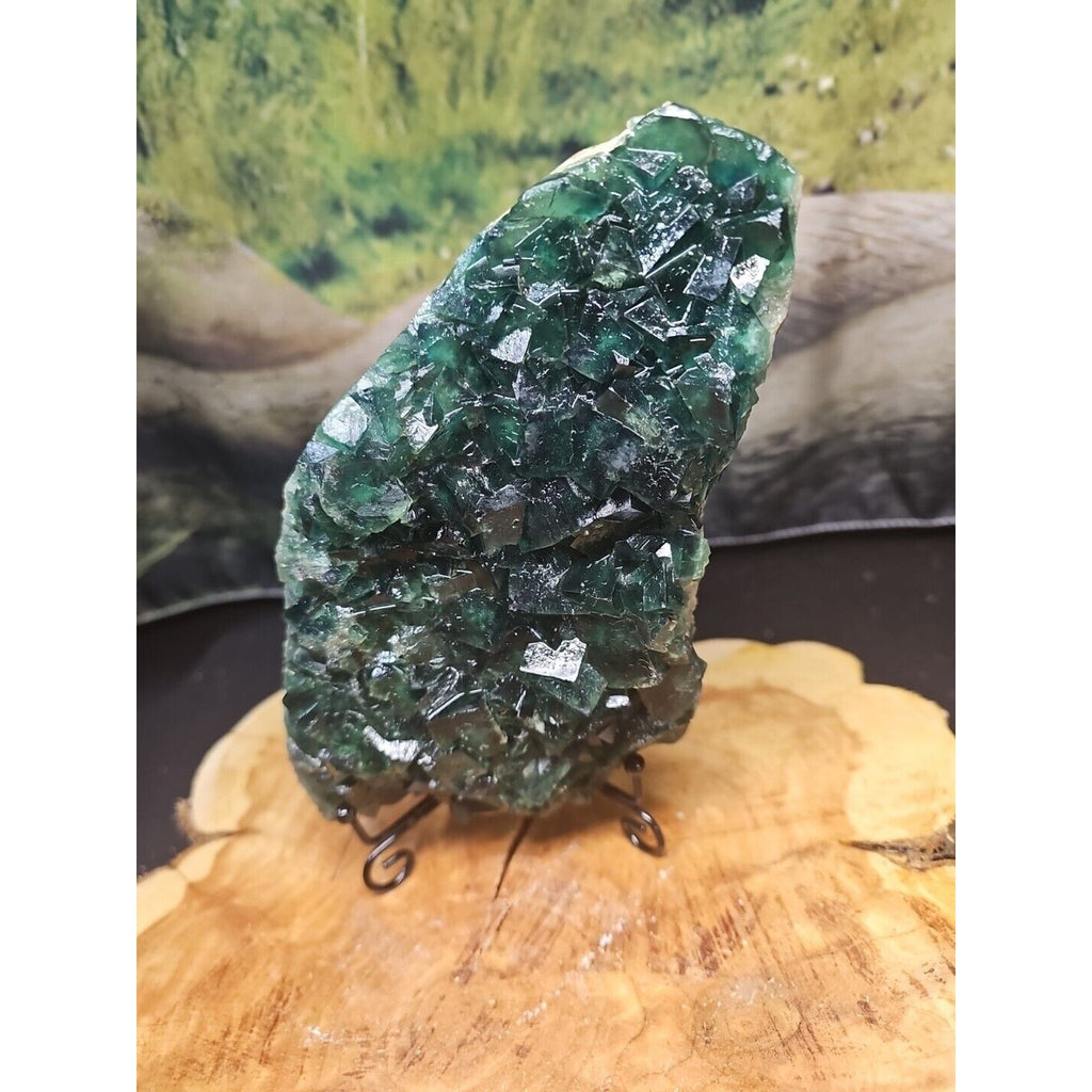 3.2lb NATURAL Green FLUORITE Quartz Crystal Cluster Mineral Specimen by CrystalCloud Company