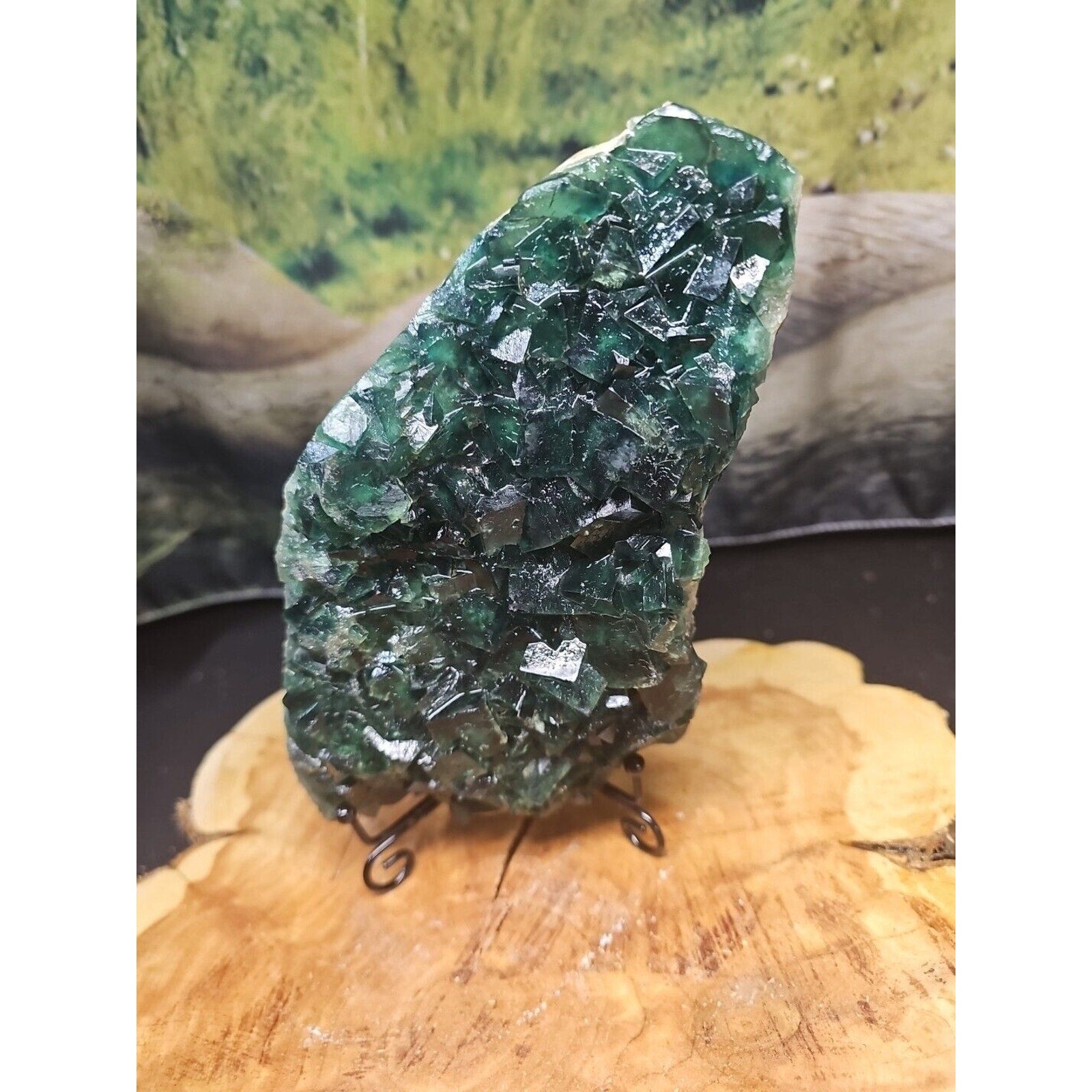 3.2lb NATURAL Green FLUORITE Quartz Crystal Cluster Mineral Specimen by CrystalCloud Company