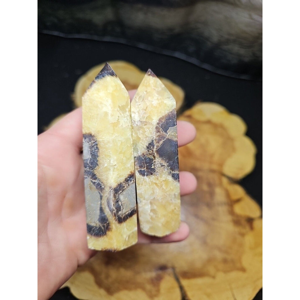 .59LB 2Pcs Natural Dragon Septarian Geode Quartz Cluster Crystal Point Healing by CrystalCloud Company