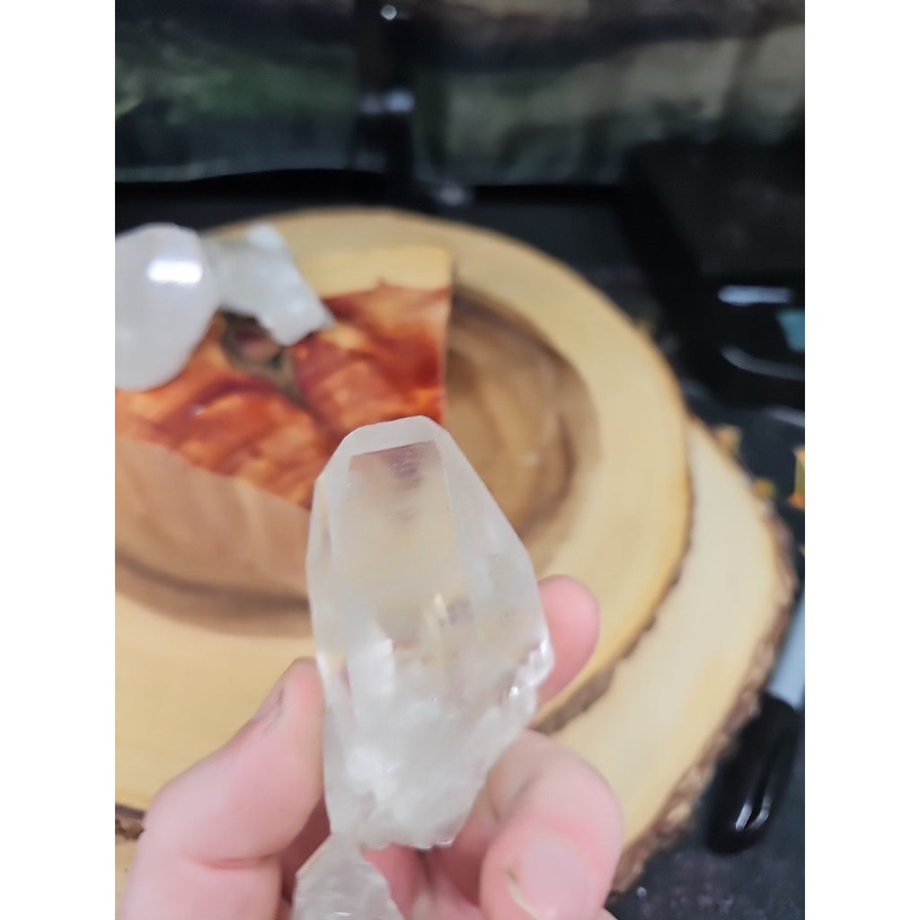 Brazilian Quartz Crystal W/wood Base .77lb Crystals by CrystalCloud Company