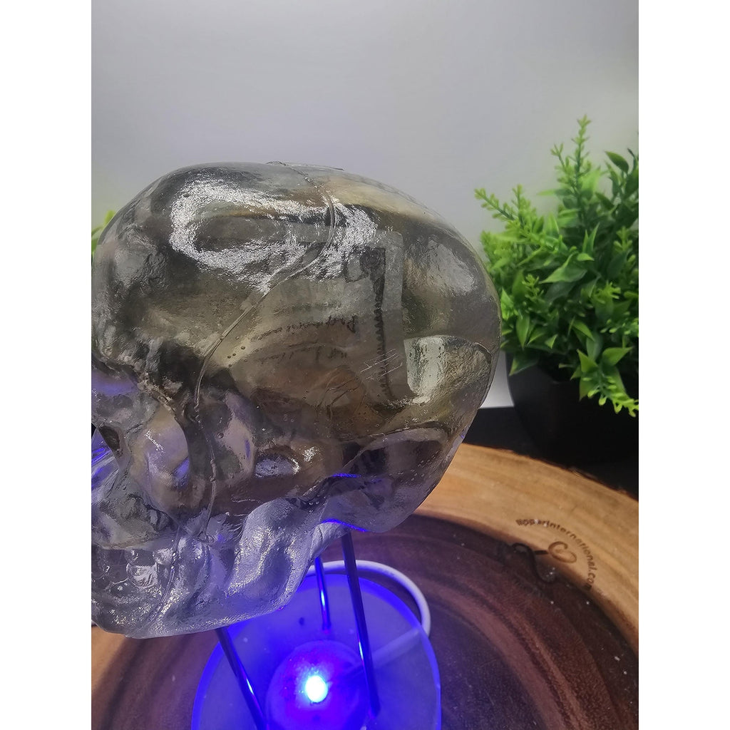 Money skull by CrystalCloud Company