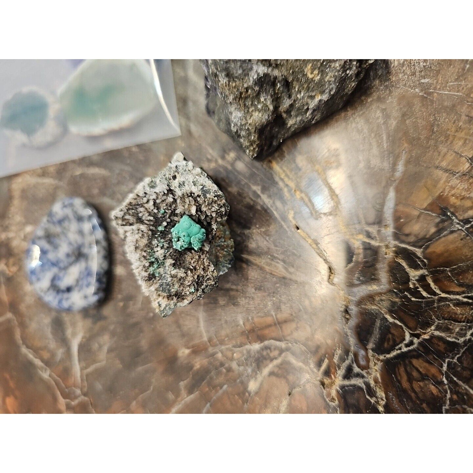 Mixed Crystal Specimen Lot — 8 Natural Pieces, Curated Collection | CrystalCloud Company by CrystalCloud Company