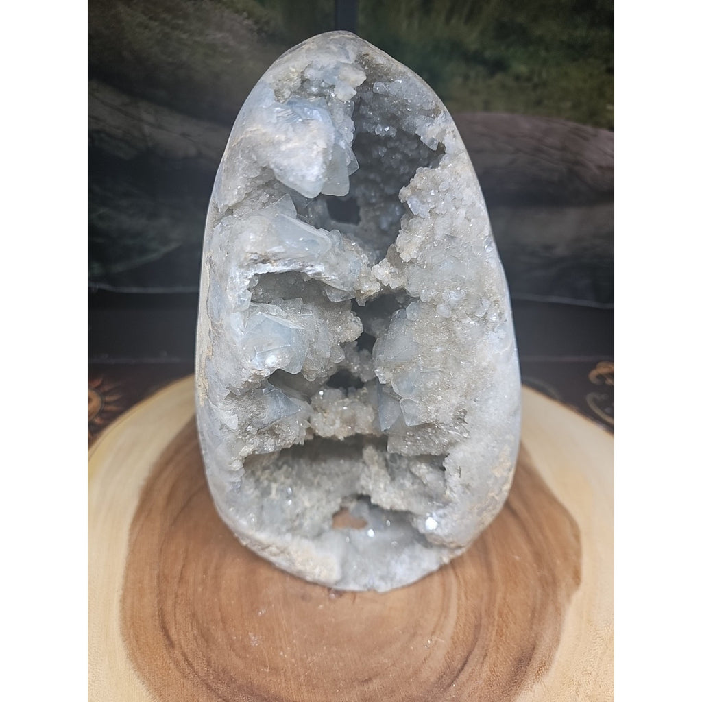 Large Baby Blue Celestite Geode Cluster — 13.6 lbs, 8 inches, Brazil | CrystalCloud Company by CrystalCloud Company