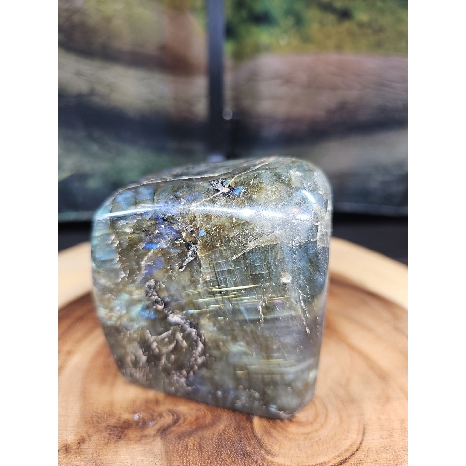 1.60lbs Natural Rainbow Labradorite Crystal Gem Spectrolite Stone by CrystalCloud Company