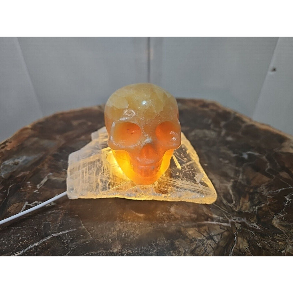 1.62LB Natural Yellow Translucent Calcite Crystal Skull W/Selenite Base & Led by CrystalCloud Company
