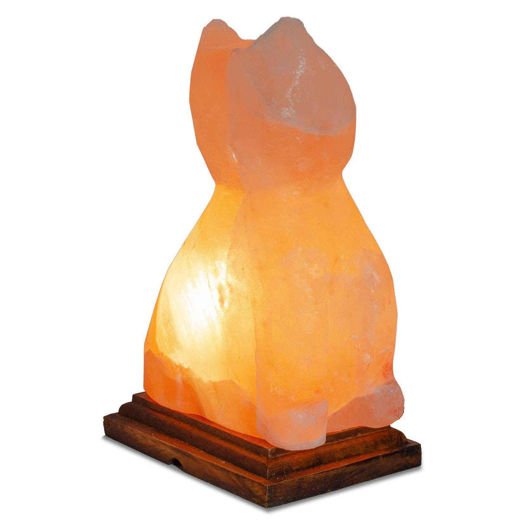 Cat Shaped Salt Lamp - 10" avg. - Cord, Bulb, Dimmer by Sacred Crystals
