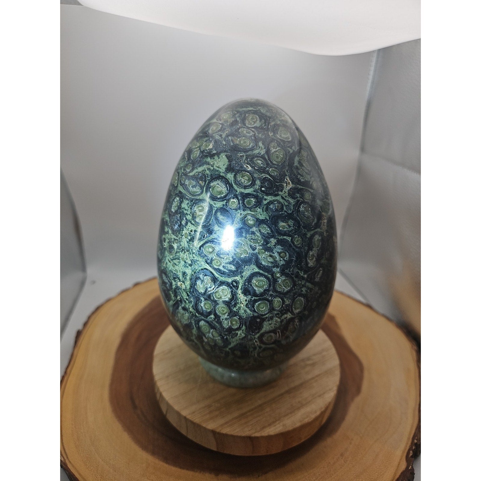 9.1LB Natural Kambaba Jasper Quartz Crystal egg Mineral specimen Healing by CrystalCloud Company