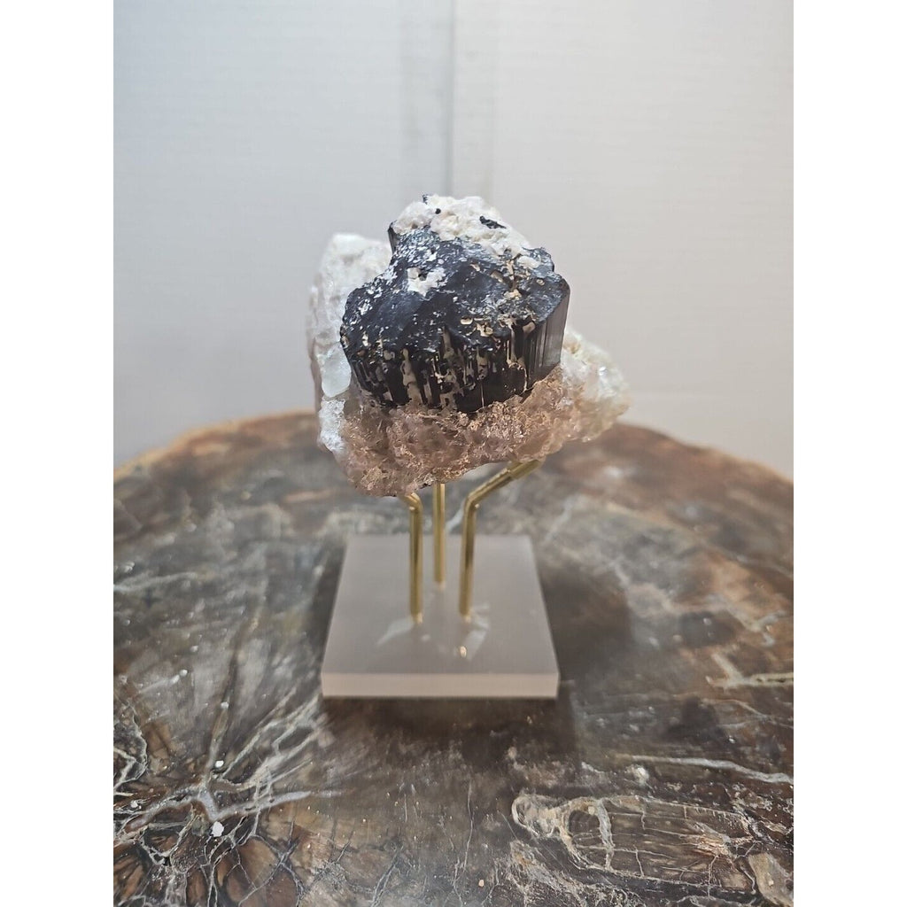 Black Tourmaline Raw Mineral Specimen — 1.11 lbs, Rough Natural Crystal | CrystalCloud Company by CrystalCloud Company