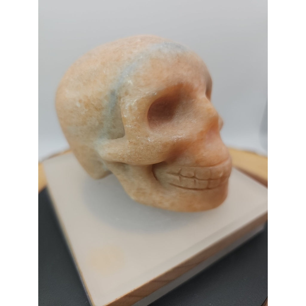 1.24lb Natural Jasper Calcite Skulls Crystal Carving Mixed Stones Healing by CrystalCloud Company