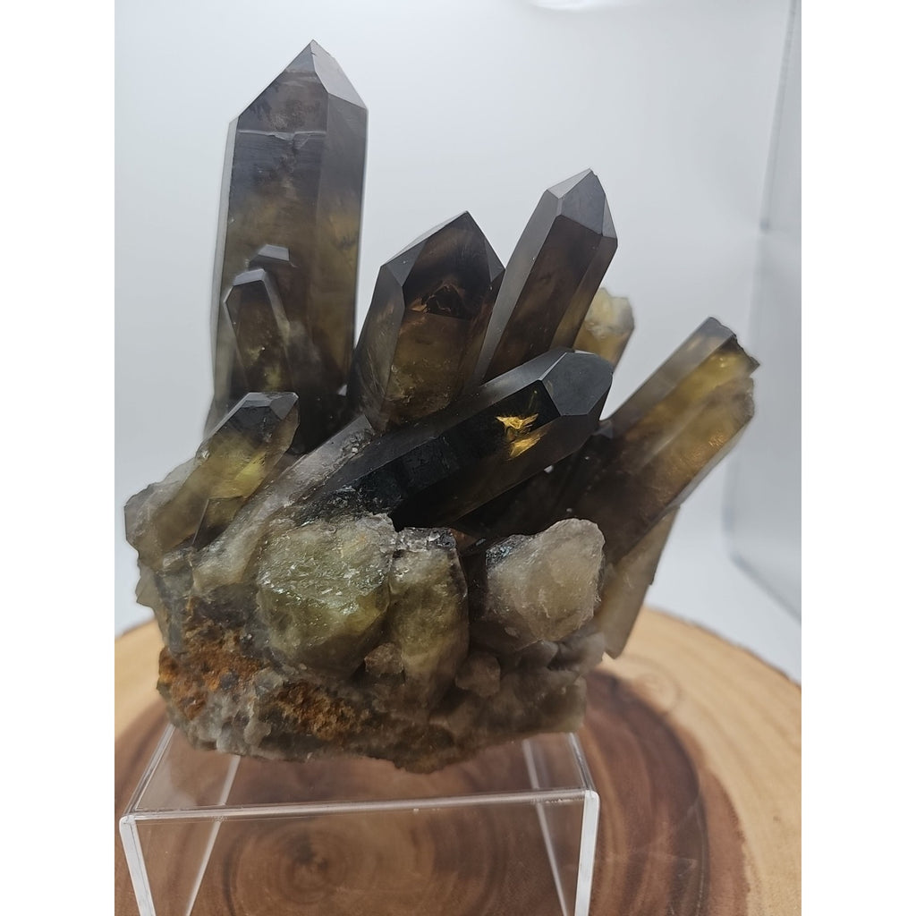 2.77LB Top rare natural beautiful black quartz crystal cluster mineral sample - by CrystalCloud Company