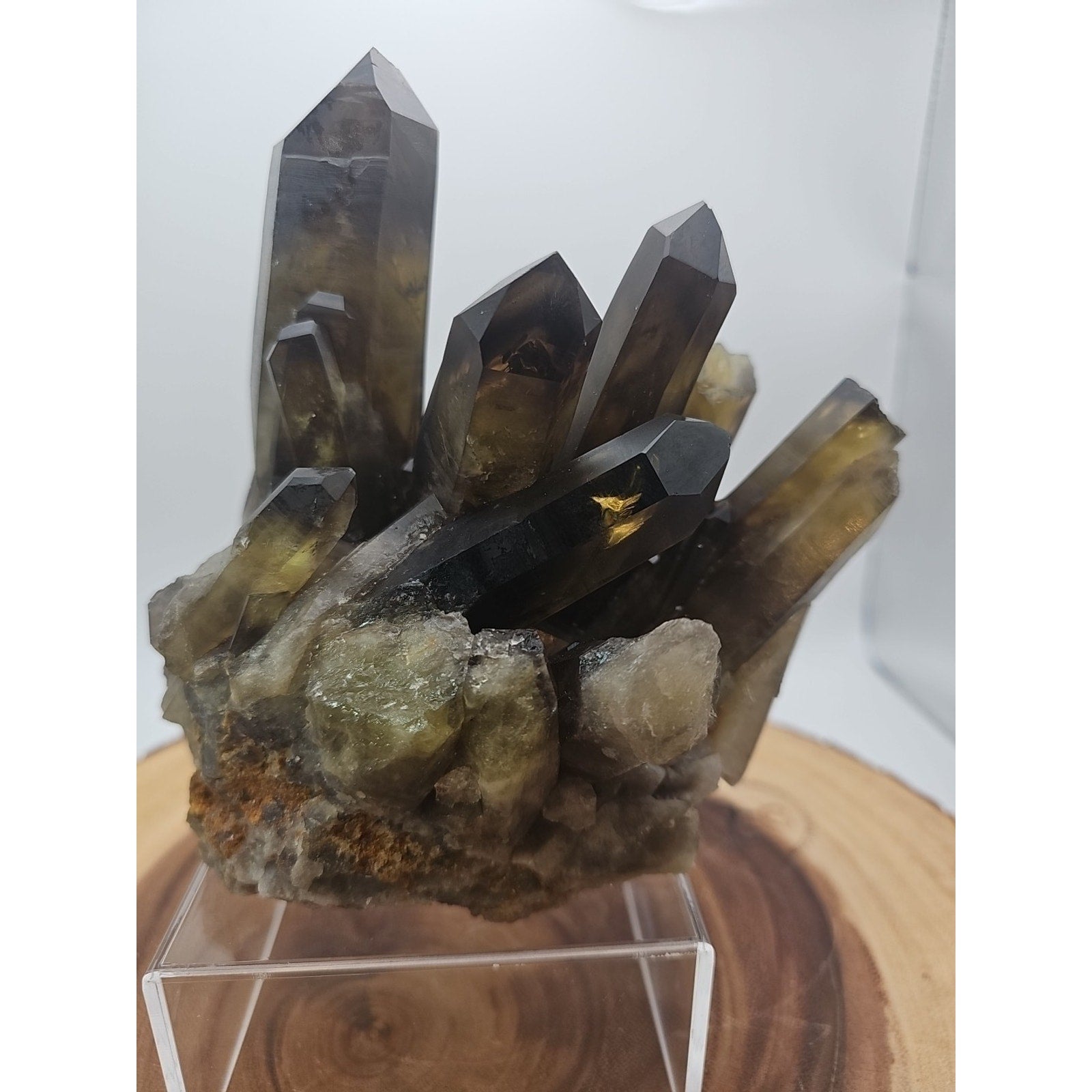 2.77LB Top rare natural beautiful black quartz crystal cluster mineral sample - by CrystalCloud Company