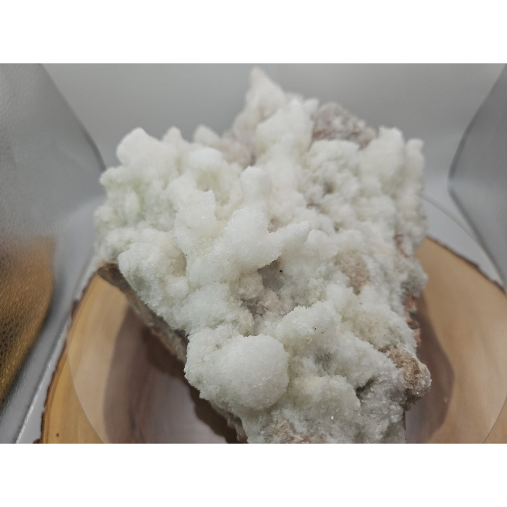 11.27LB New Find Natural Clear Selenite Gypsum Cluster Specimen by CrystalCloud Company