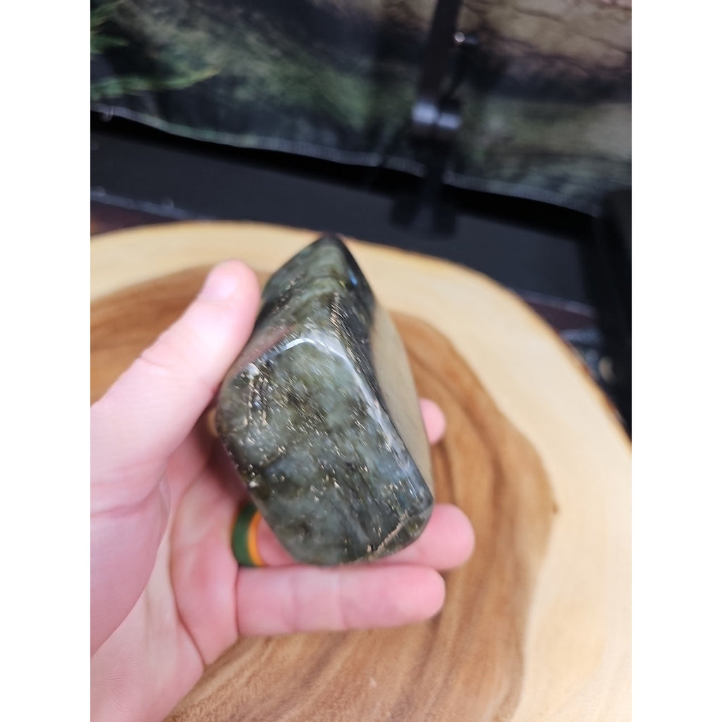 1LB 1Pcs Natural Rainbow Labradorite Crystal Spectrolite Stone by CrystalCloud Company