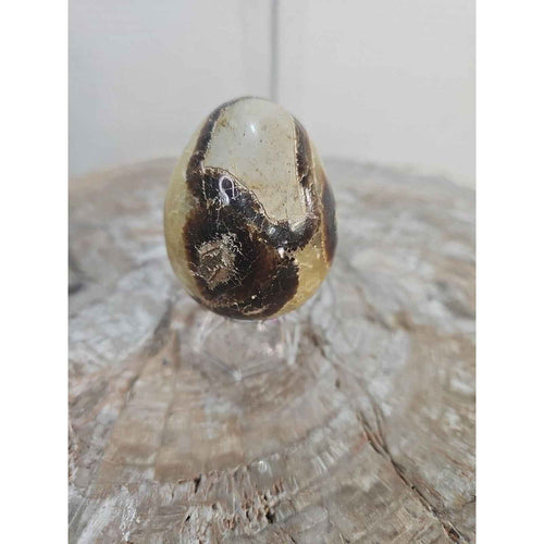 9.0oz Natural Septarian Dragon quartz Crystal egg Mineral Specimen W/Stand by natural