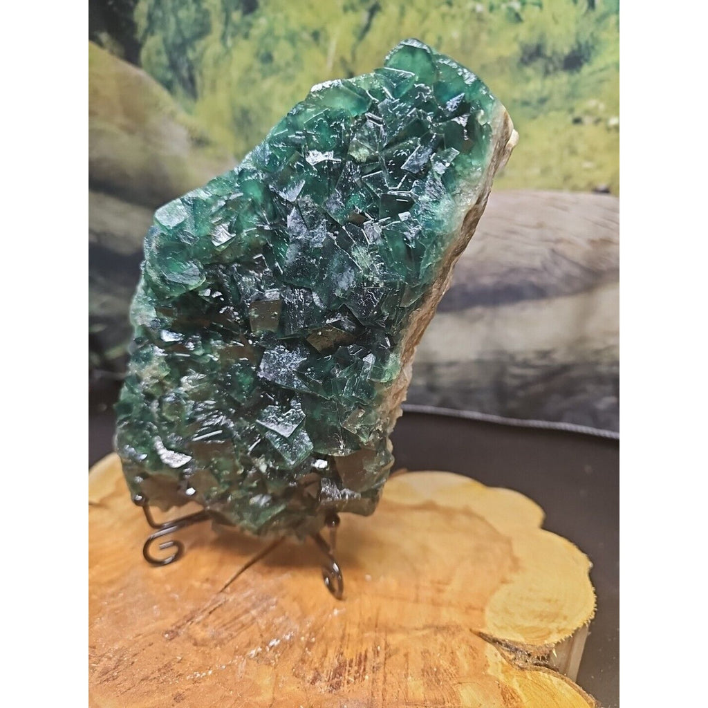 3.2lb NATURAL Green FLUORITE Quartz Crystal Cluster Mineral Specimen by CrystalCloud Company