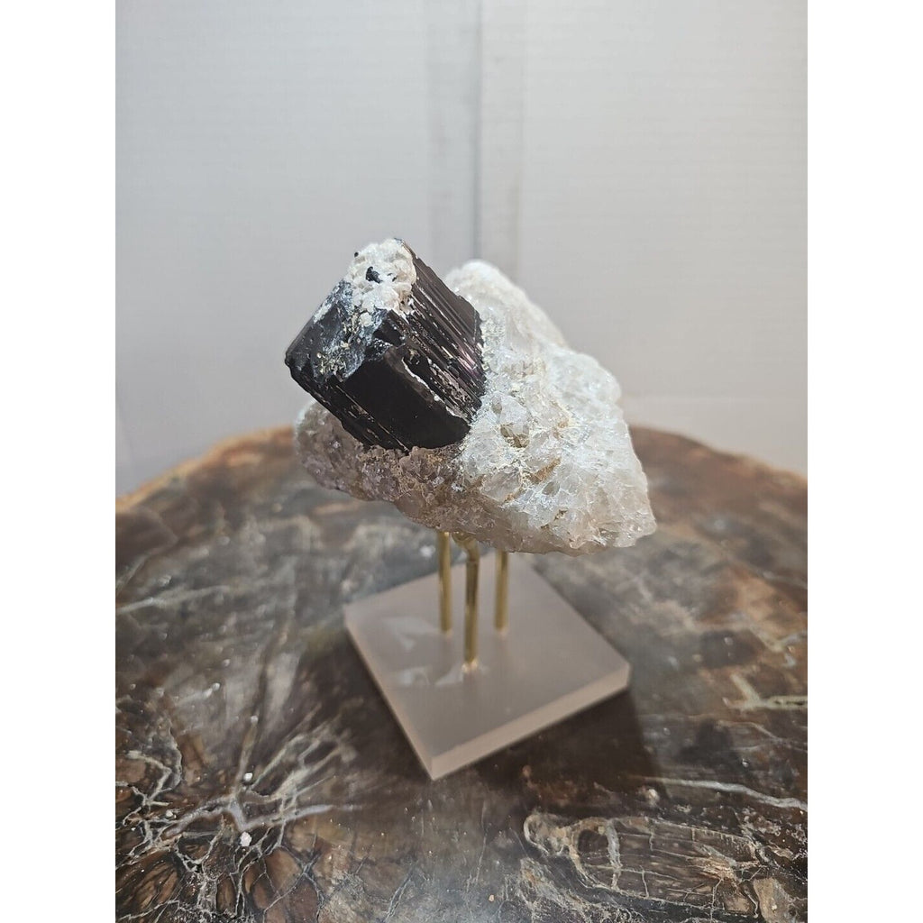 Black Tourmaline Raw Mineral Specimen — 1.11 lbs, Rough Natural Crystal | CrystalCloud Company by CrystalCloud Company