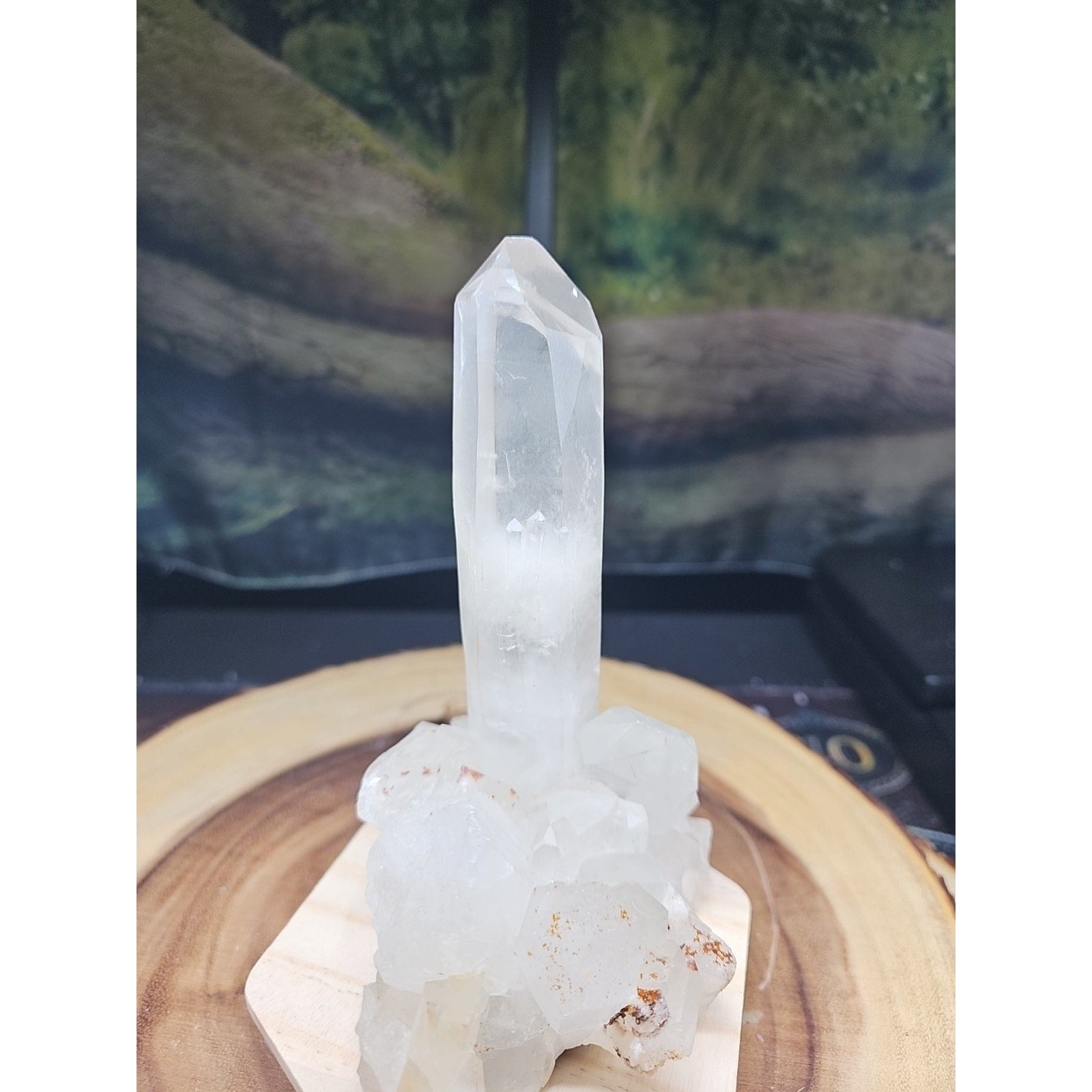 1.28LB Natural Clear White Quartz Crystal Cluster Energy Healing Specimen by CrystalCloud Company