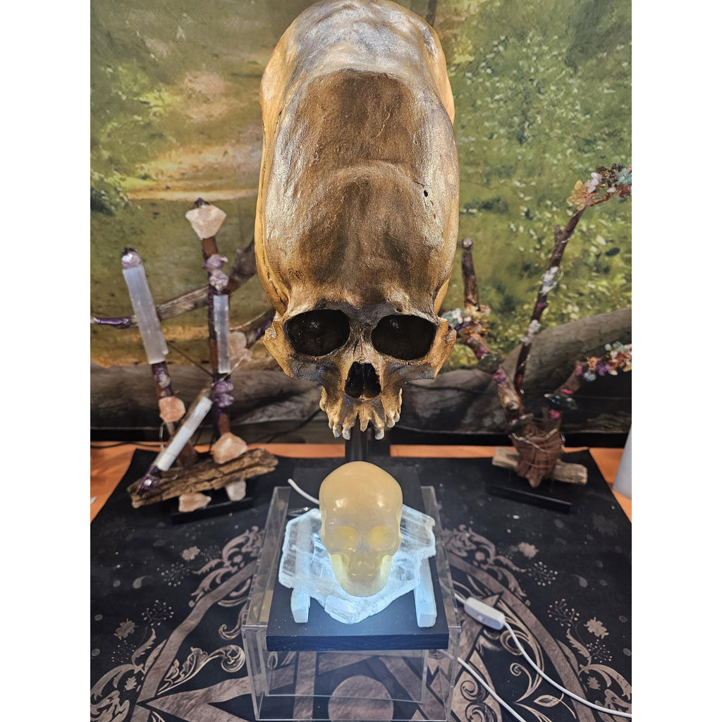 Skull Statement Piece by CrystalCloud Company