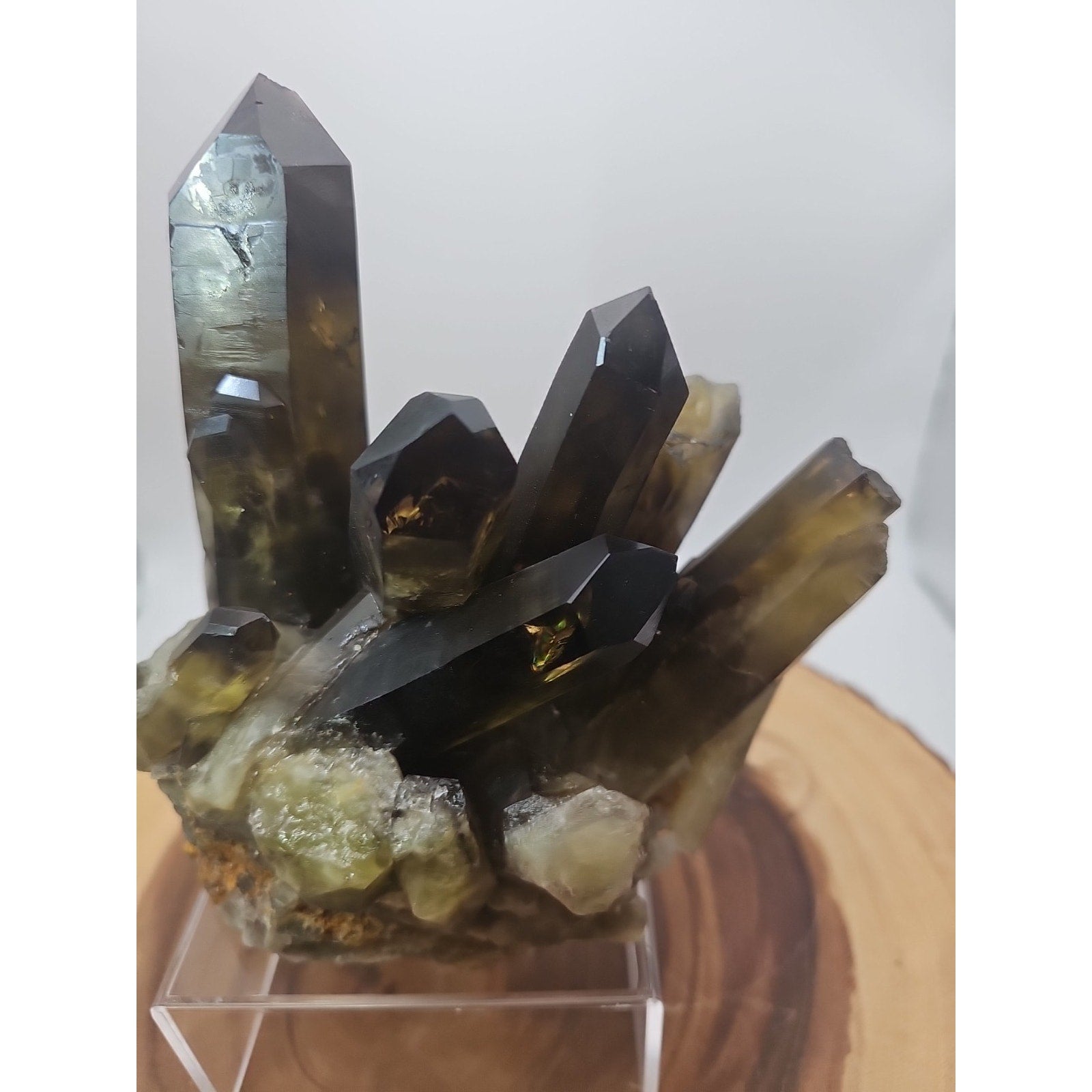 2.77LB Top rare natural beautiful black quartz crystal cluster mineral sample - by CrystalCloud Company