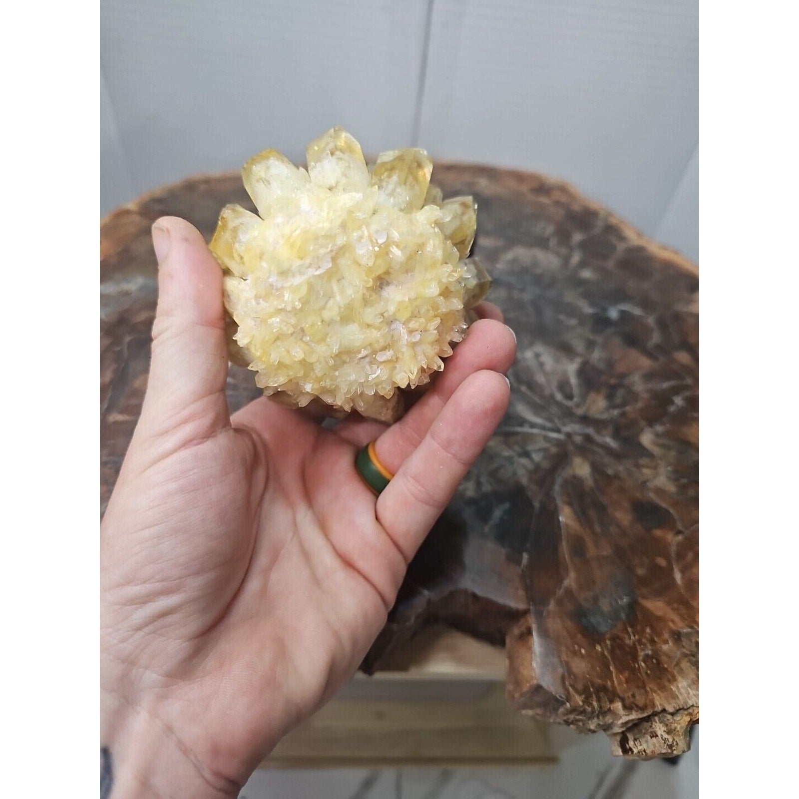 1.12LB Yellow Phantom Quartz Crystal Cluster Mineral Specimen W/Stand by CrystalCloud Company