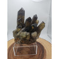 2.77LB Top rare natural beautiful black quartz crystal cluster mineral sample - by CrystalCloud Company