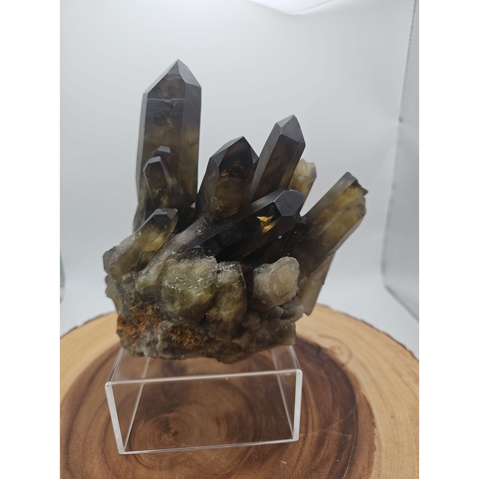 2.77LB Top rare natural beautiful black quartz crystal cluster mineral sample - by CrystalCloud Company