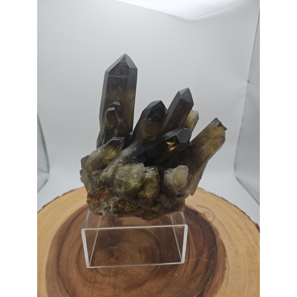2.77LB Top rare natural beautiful black quartz crystal cluster mineral sample - by CrystalCloud Company