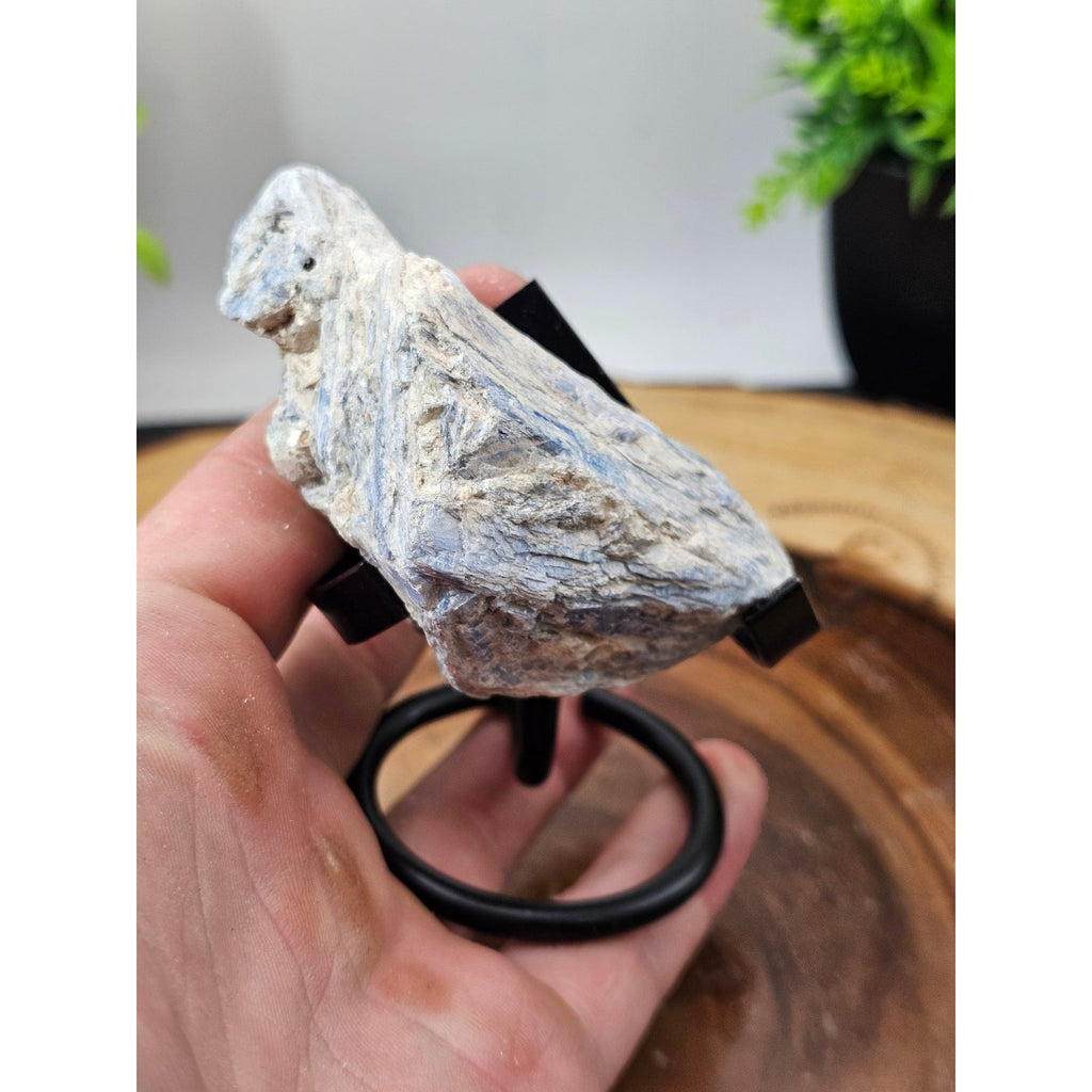 Blue Kyanite Raw Crystal Specimen on Metal Stand