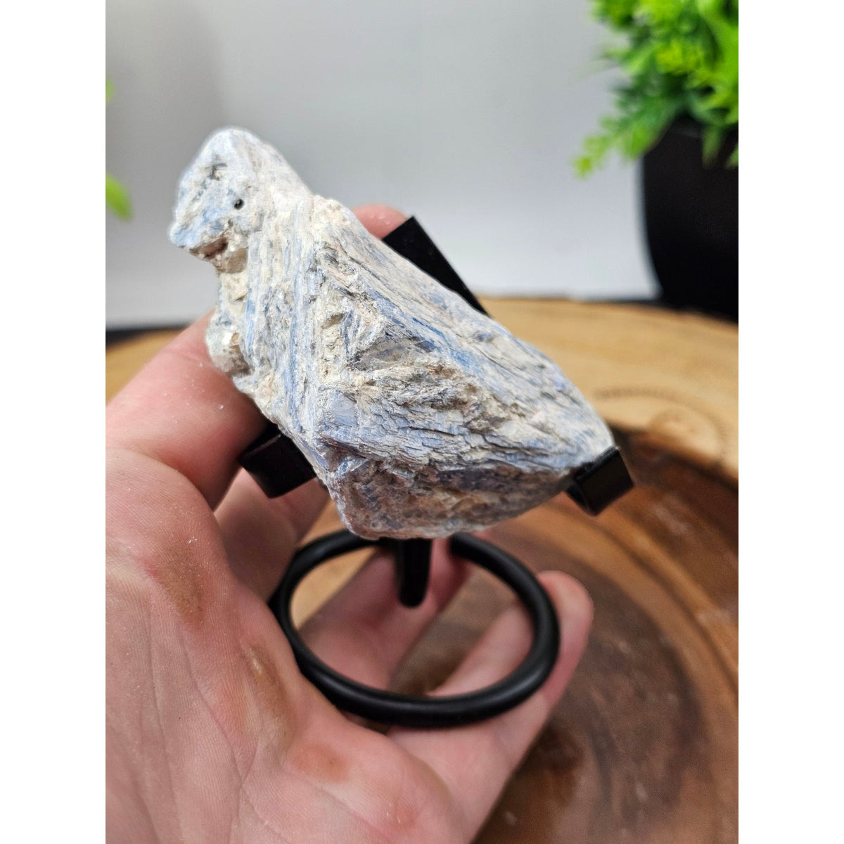 Blue Kyanite Raw Crystal Specimen on Metal Stand