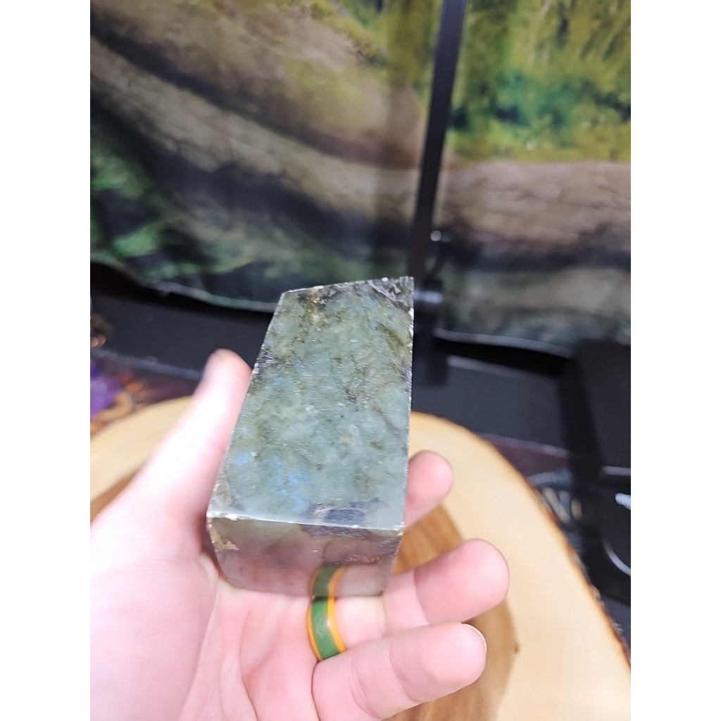 1.11LB 1Pcs Natural Rainbow Labradorite Crystal Spectrolite Stone by CrystalCloud Company