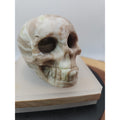 .89lb Natural Jasper Calcite Skulls Crystal Carving Mixed Stones Healing by CrystalCloud Company