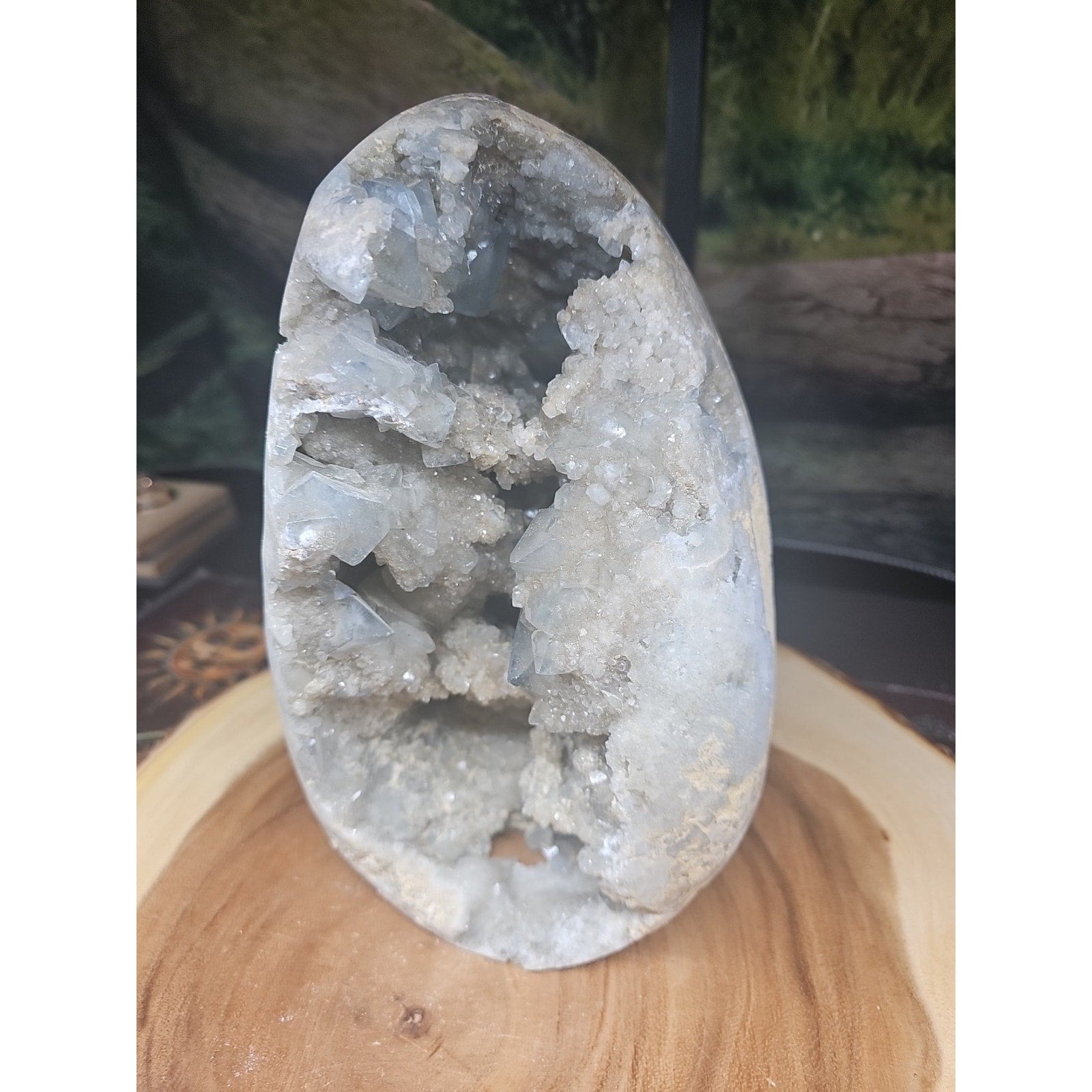 Large Baby Blue Celestite Geode Cluster — 13.6 lbs, 8 inches, Brazil | CrystalCloud Company by CrystalCloud Company