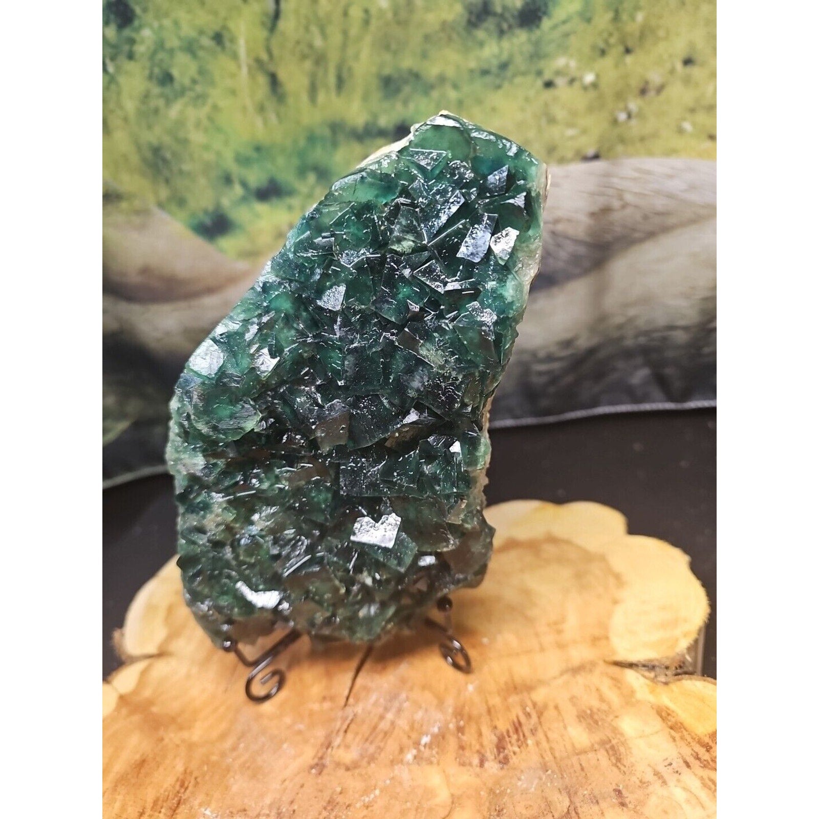 3.2lb NATURAL Green FLUORITE Quartz Crystal Cluster Mineral Specimen by CrystalCloud Company