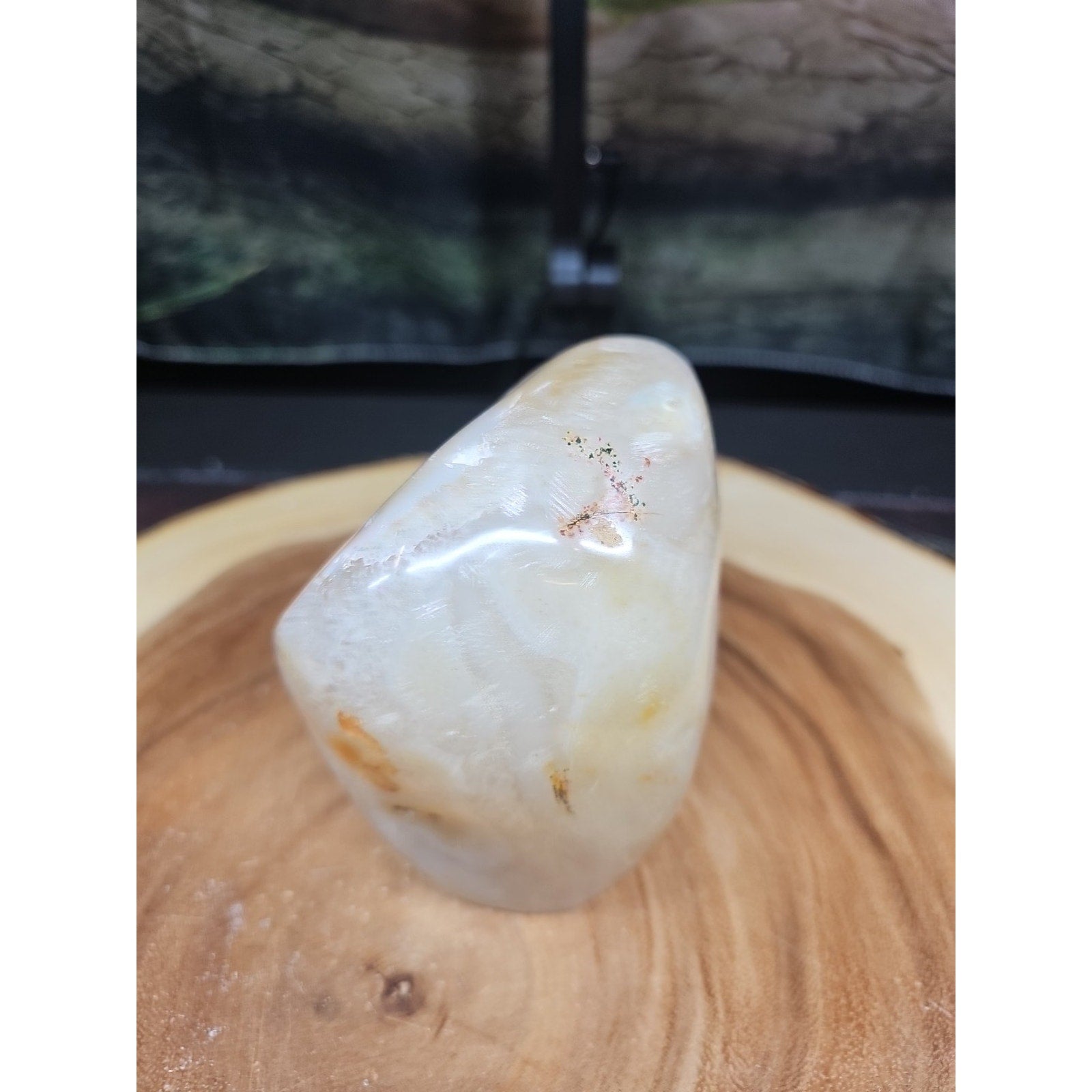 2.69LB 1Pcs Natural Agate Carnelian Quartz Crystal Decoration Geode by CrystalCloud Company