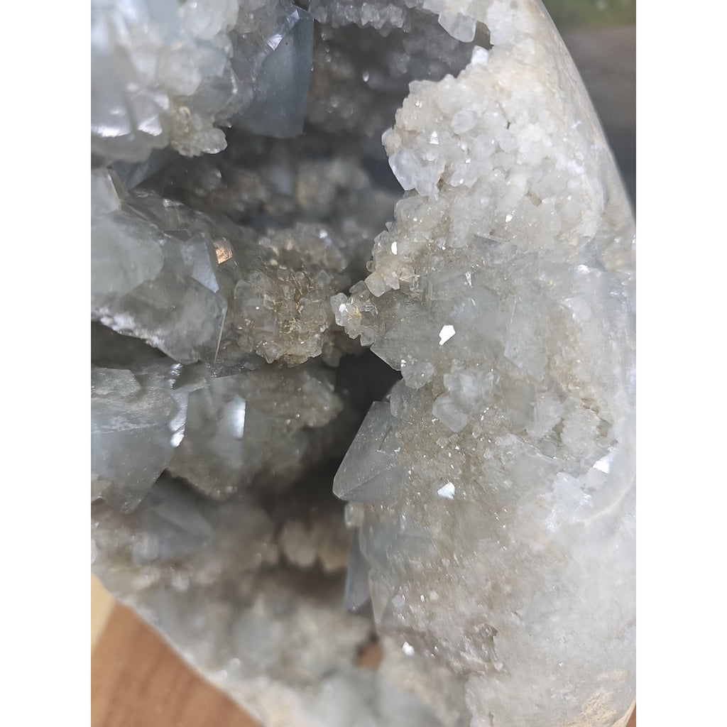 Large Baby Blue Celestite Geode Cluster — 13.6 lbs, 8 inches, Brazil | CrystalCloud Company by CrystalCloud Company