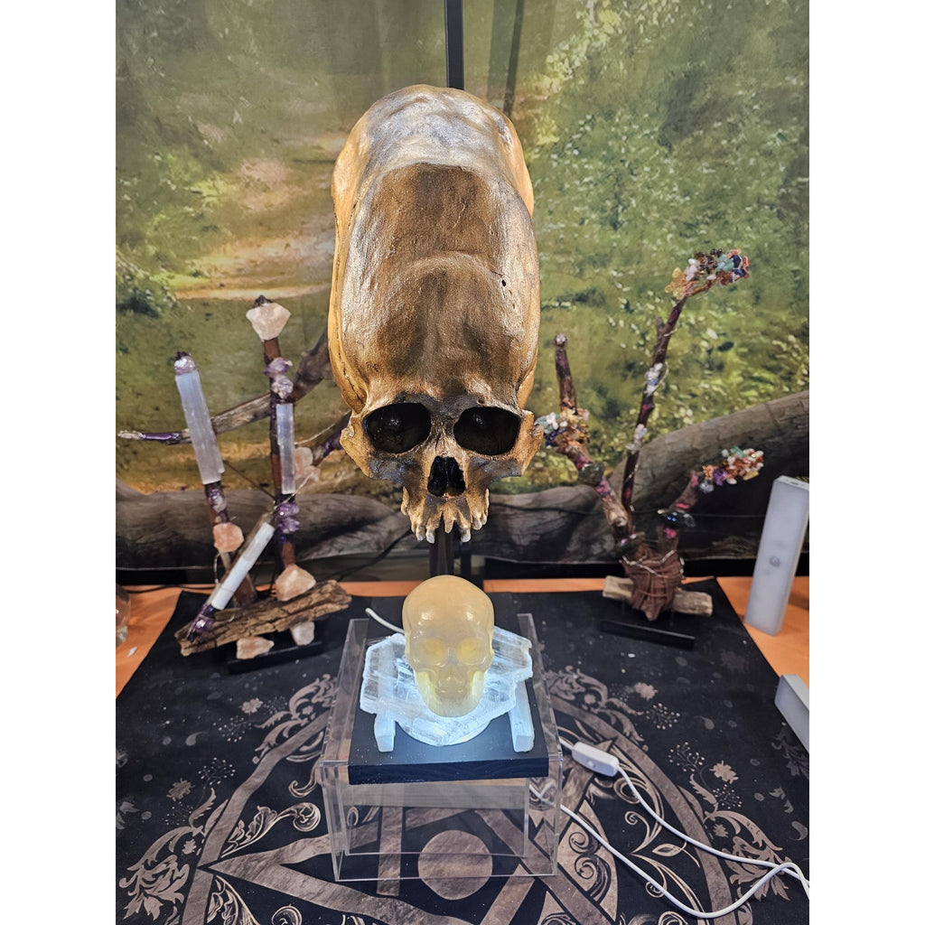 Skull Statement Piece by CrystalCloud Company