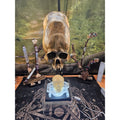 Skull Statement Piece by CrystalCloud Company