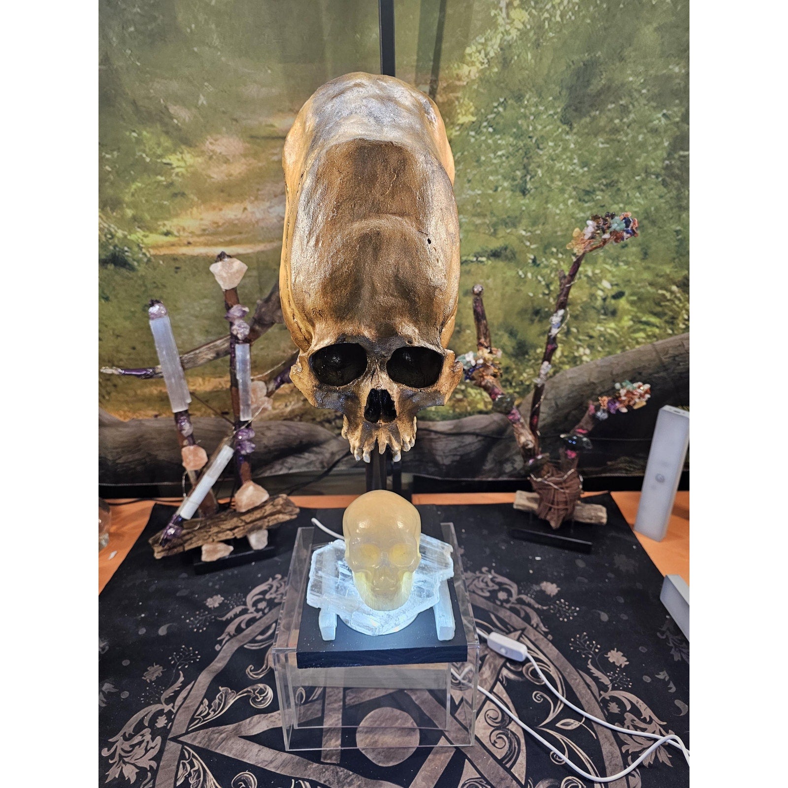 Skull Statement Piece by CrystalCloud Company