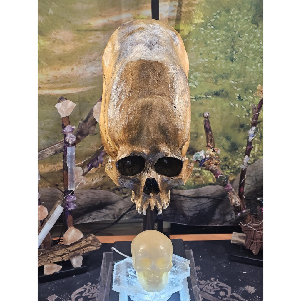Skull Statement Piece by CrystalCloud Company