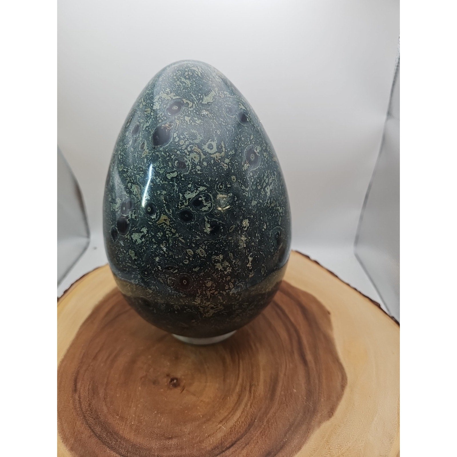 15.2LB Natural Kambaba Jasper Quartz Crystal With Jade Ring Stand by CrystalCloud Company