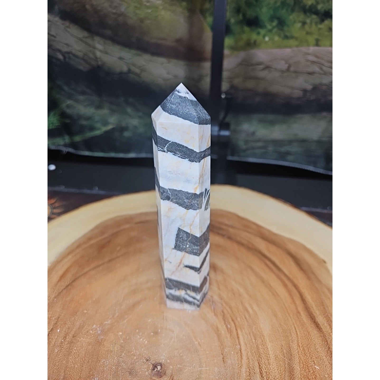 Zebra Stone Tower 341g 6in Tall by CrystalCloud Company
