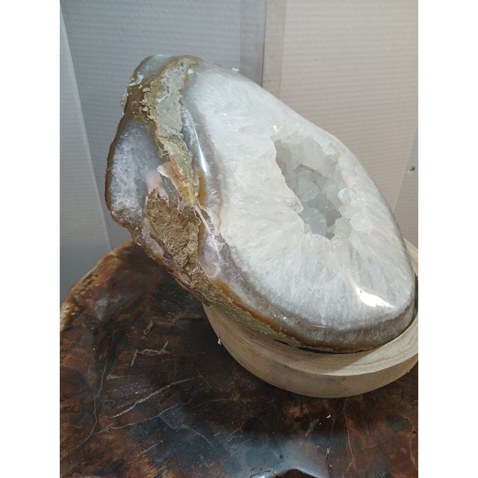 Large Natural Madagascar Agate Geode — 19.3 lbs, Museum-Quality Quartz Specimen | CrystalCloud Company by CrystalCloud Company