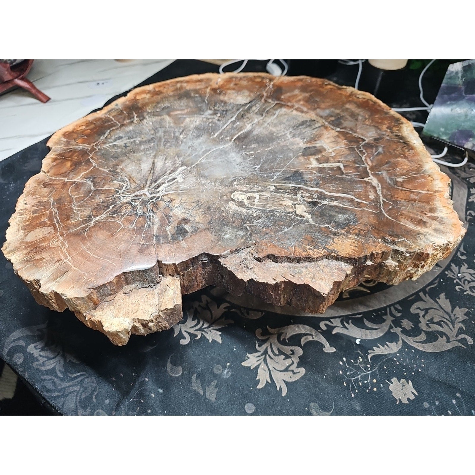 27.3 lb Fossil Wood Quartz Hedgehog Sculpture — Artisan Mineral Statement Piece | CrystalCloud Company by CrystalCloud Company