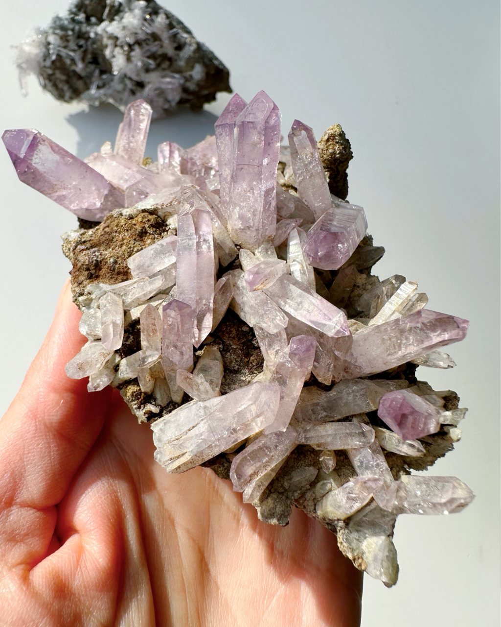Veracruz Amethyst Cluster by Baltic Mermaid