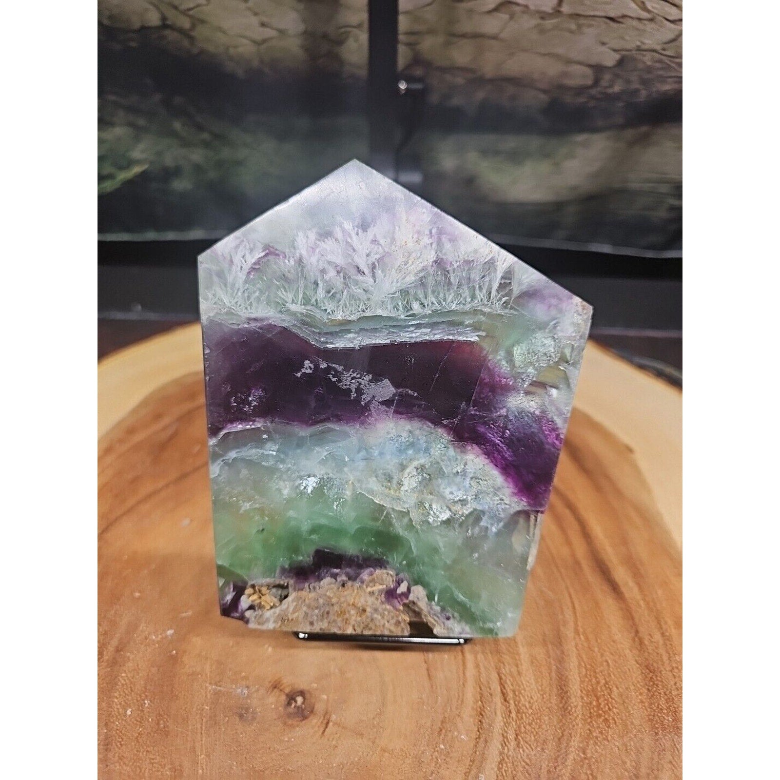 1.15LB Natural fluorite snowflake feather fluorite crystal quartz healing by CrystalCloud Company